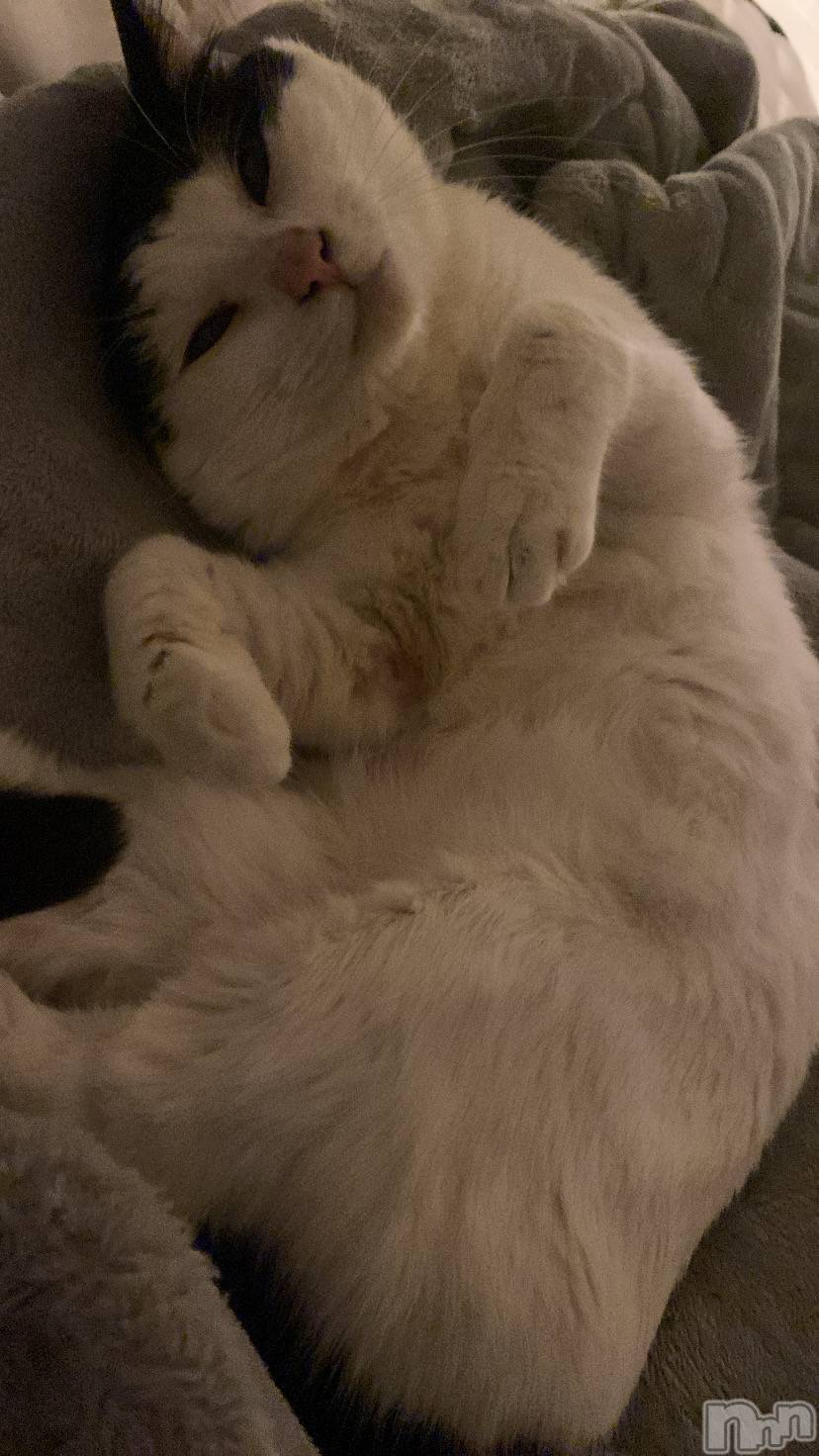 ��ˬ����Х��顦����֥���� �ץ���� ��ˬ(����� �ץ���� ����) ��2026ǯ3��18���̥�֥�����☔️��