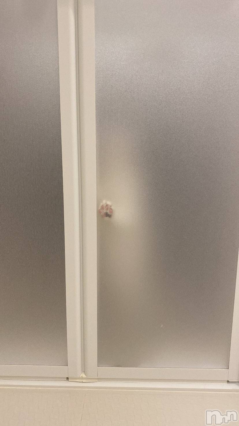 ��ˬ����Х��顦����֥���� �ץ���� ��ˬ(����� �ץ���� ����) ��2026ǯ4��10���̥�֥�����🐱��