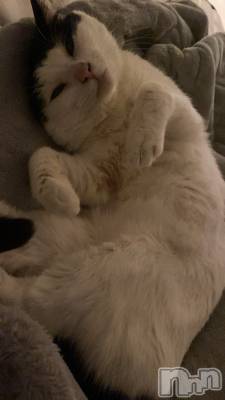 ��ˬ����Х��顦����֥���� �ץ���� ��ˬ(����� �ץ���� ����) ���� �줤(22)��3��18���̥�֥�����☔️��