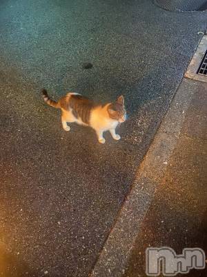 ��ˬ����Х��顦����֥���� �ץ���� ��ˬ(����� �ץ���� ����) ���� �줤(22)��3��20���̥�֥�����😸��