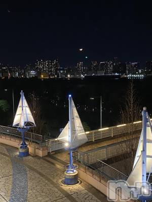 ��ˬ����Х��顦����֥���� �ץ���� ��ˬ(����� �ץ���� ����) ���� �줤(22)��3��21���̥�֥�����🗼��