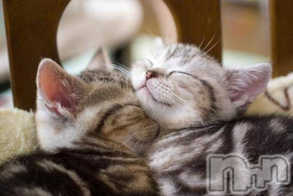 新潟デリヘルMelt(メルト) 【新人】しおり(32)の3月14日写メブログ「︎🤍みたよ、見たよ︎🤍」