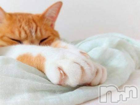 新潟デリヘルMelt(メルト) 【新人】しおり(32)の3月15日写メブログ「︎🤍みたよ、見たよ︎🤍」