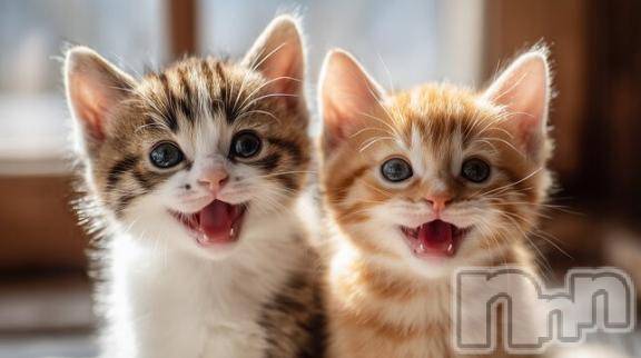 新潟デリヘルMelt(メルト) 【新人】しおり(32)の3月18日写メブログ「︎🤍みたよ、見たよ︎🤍」