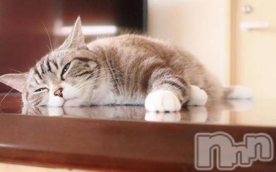 新潟デリヘルMelt(メルト) 【新人】しおり(32)の3月19日写メブログ「︎🤍みたよ、見たよ︎🤍」