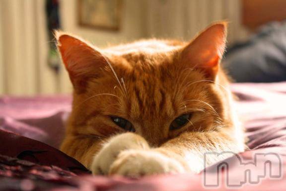 新潟デリヘルMelt(メルト) 【新人】しおり(32)の3月22日写メブログ「︎🤍みたよ、見たよ︎🤍」