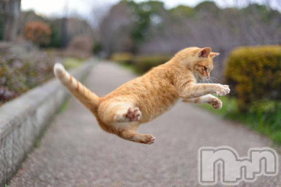 新潟デリヘルMelt(メルト) 【新人】しおり(32)の3月30日写メブログ「︎🤍みたよ、見たよ︎🤍」