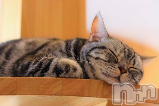 新潟デリヘルMelt(メルト) 【新人】しおり(32)の3月31日写メブログ「︎🤍みたよ、見たよ︎🤍」