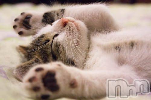 新潟デリヘルMelt(メルト)【新人】しおり(32)の2026年3月9日写メブログ「︎🤍みたよ、見たよ︎🤍」