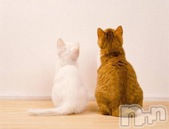 新潟デリヘルMelt(メルト)【新人】しおり(32)の2026年3月10日写メブログ「︎🤍みたよ、見たよ︎🤍」