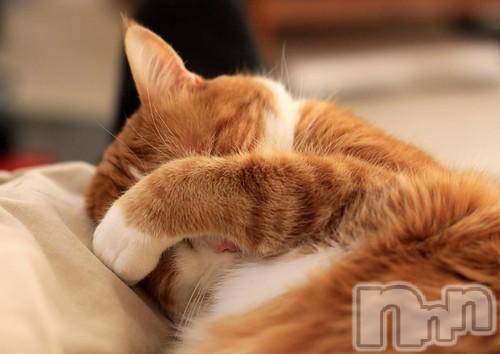 新潟デリヘルMelt(メルト)【新人】しおり(32)の2026年3月21日写メブログ「︎🤍みたよ、見たよ︎🤍」