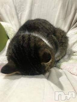 新潟デリヘルMelt(メルト)【新人】しおり(32)の2026年3月27日写メブログ「︎🤍みたよ、見たよ︎🤍」