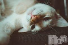 新潟デリヘルMelt(メルト) 【新人】しおり(32)の4月1日写メブログ「︎🤍みたよ、見たよ︎🤍」