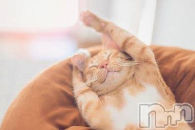 新潟デリヘル Melt(メルト) 【新人】しおり(32)の3月17日写メブログ「︎🤍みたよ、見たよ︎🤍」