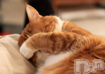 新潟デリヘル Melt(メルト) 【新人】しおり(32)の3月21日写メブログ「︎🤍みたよ、見たよ︎🤍」