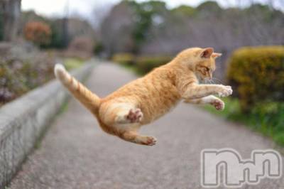 新潟デリヘル Melt(メルト) 【新人】しおり(32)の3月30日写メブログ「︎🤍みたよ、見たよ︎🤍」