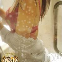 【新人】しおり