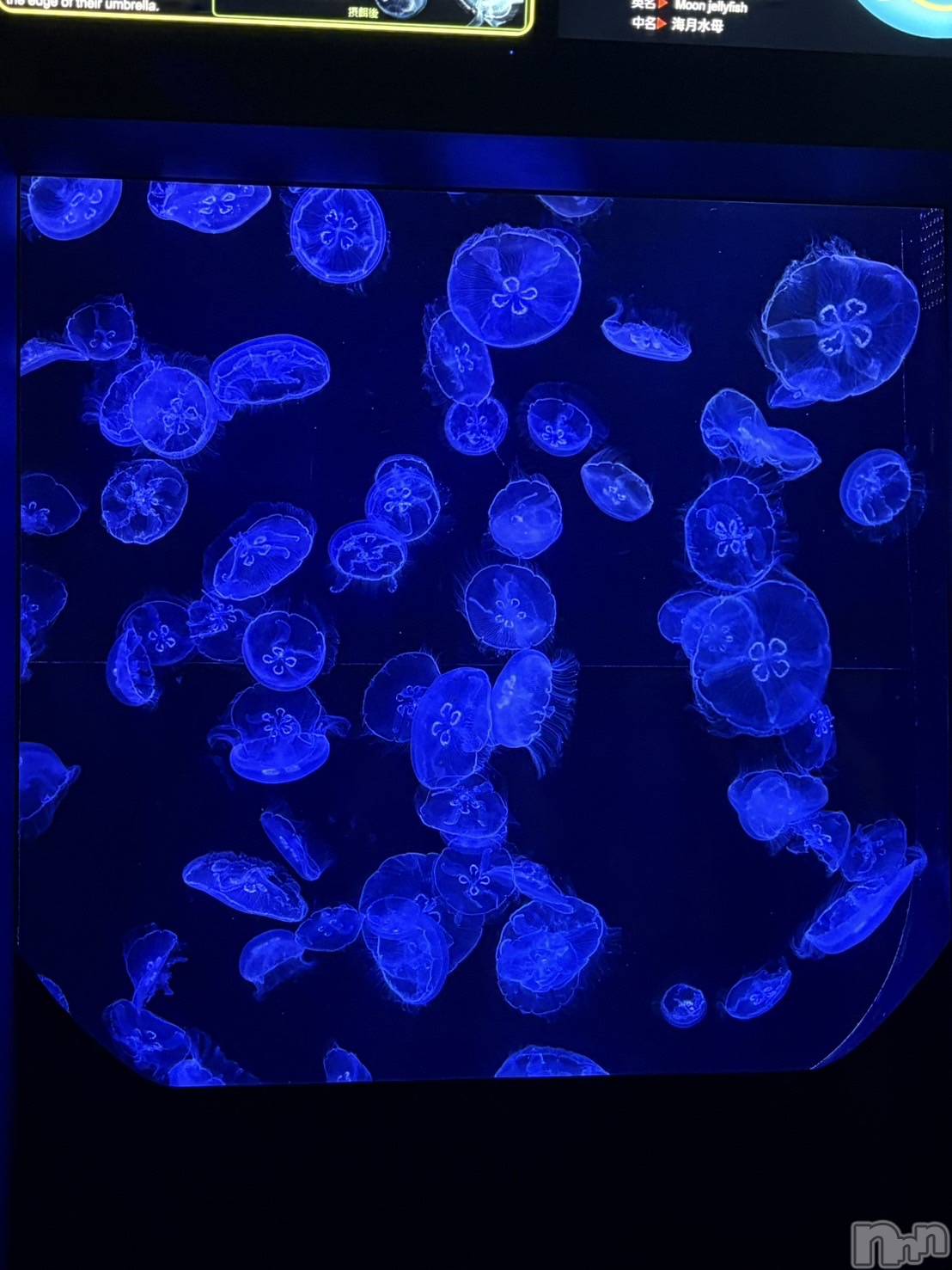 Ĺ���Х��顦�����CLUB FELIX(����� �ե��ꥯ��) ��2026ǯ4��18���̥�֥�����🪼��