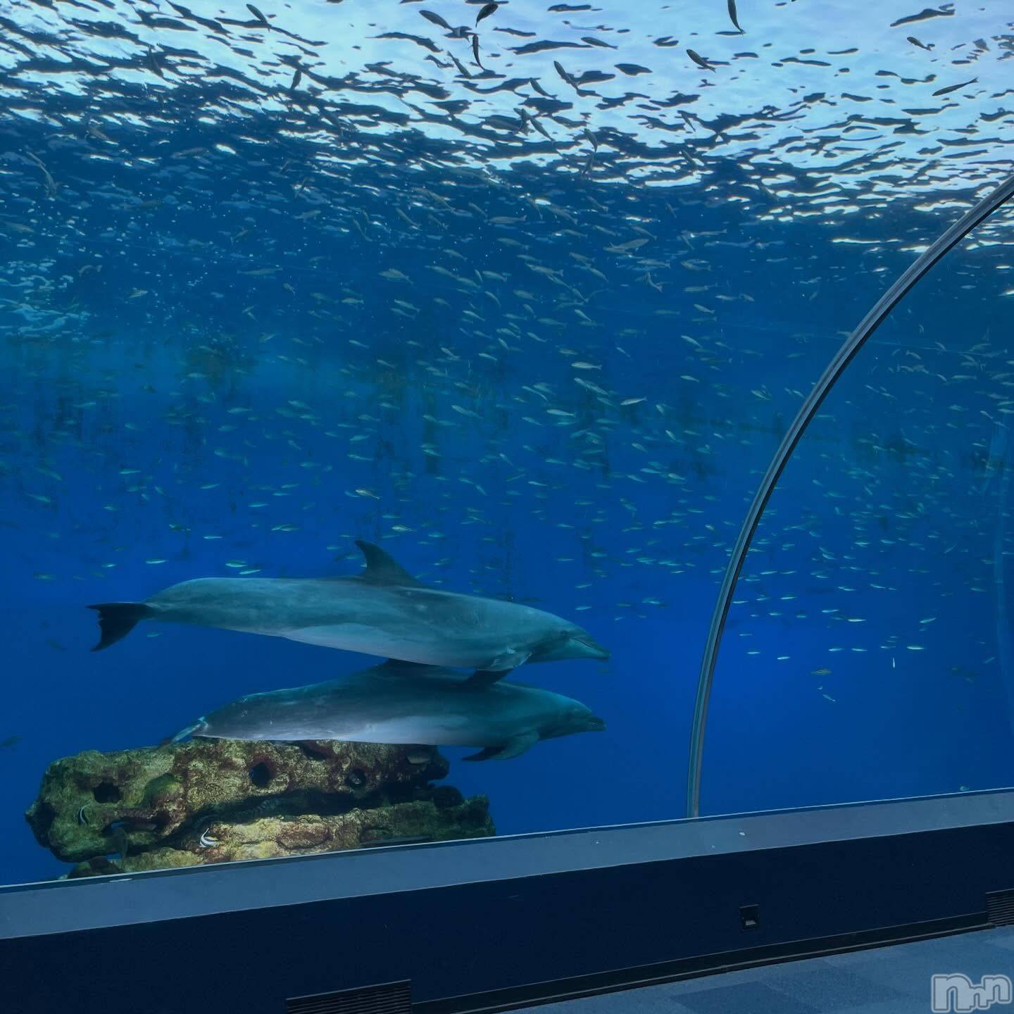 Ĺ���Х��顦�����CLUB FELIX(����� �ե��ꥯ��) ��2026ǯ4��18���̥�֥�����4��18�� 20��41ʬ�μ̥�֥�����