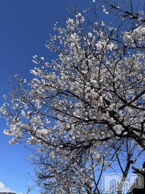 Ĺ���Х��顦�����CLUB FELIX(����� �ե��ꥯ��) �ޤ���4��11���̥�֥����֤��ָ�����