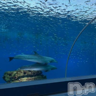 Ĺ���Х��顦�����CLUB FELIX(����� �ե��ꥯ��) �ޤ���4��18���̥�֥�����4��18�� 20��41ʬ�μ̥�֥�����