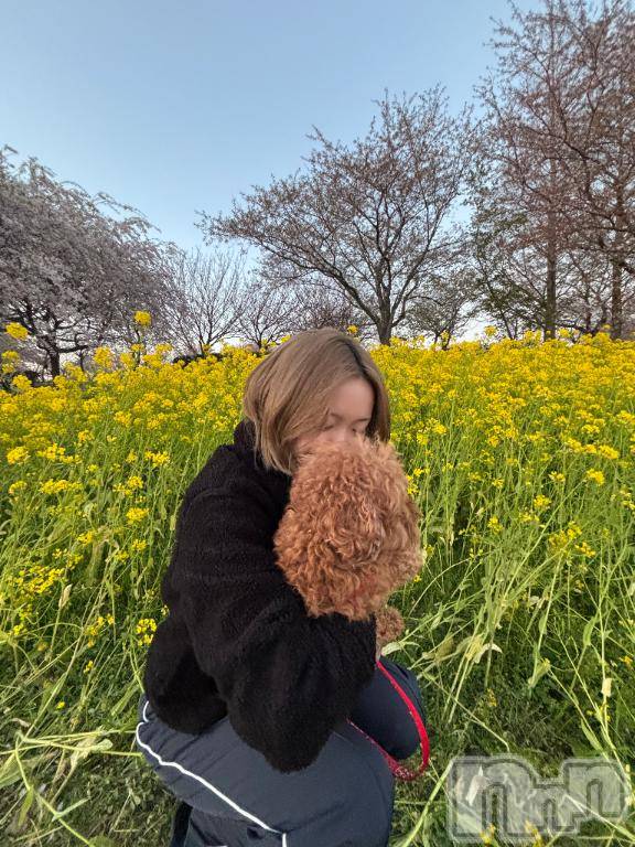 上越デリヘルHONEY(ハニー)りあ(♪♪)(20)の2026年4月21日写メブログ「最近ハマってる🧩」