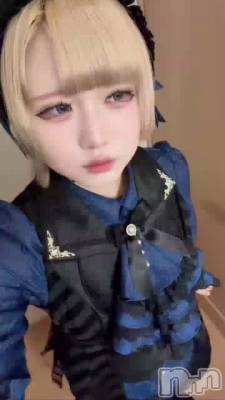 �֤����鿴��߹߹