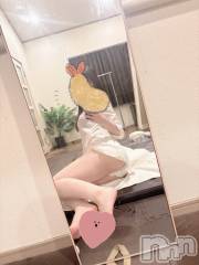 新潟メンズエステMen's Spa 神の手(メンズスパカミノテ) 【新人】桃井まこの4月21日写メブログ「🌷」