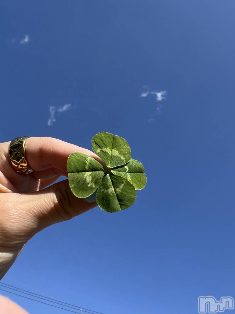 ��ˬ����Х��顦����֥���� �ץ���� ��ˬ(����� �ץ���� ����) �� �ޤ���4��15���̥�֥�����🍀🫶��