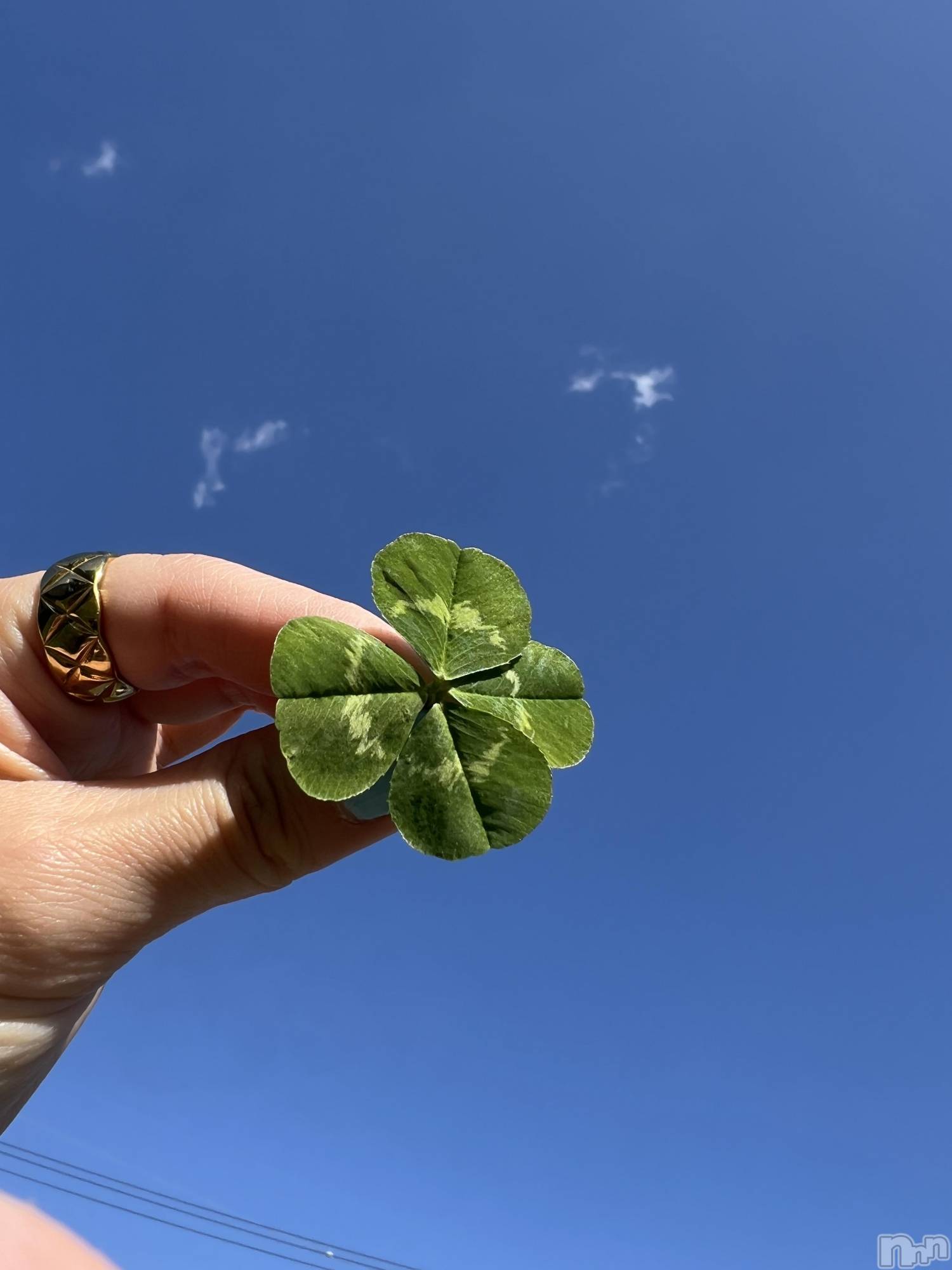 ��ˬ����Х��顦����֥���� �ץ���� ��ˬ(����� �ץ���� ����) ��2026ǯ4��15���̥�֥�����🍀🫶��