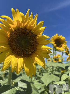 �� �ޤ��(�ҥߥ�) ��Ĺ159cm����ˬ����Х��顦����� ����� �ץ���� ��ˬ(����� �ץ���� ����)���ҡ�