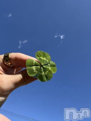 ��ˬ����Х��顦����֥���� �ץ���� ��ˬ(����� �ץ���� ����) �� �ޤ���4��15���̥�֥�����🍀🫶��