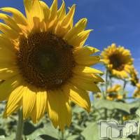 �� �ޤ��(�ҥߥ�) ��Ĺ159cm����ˬ����Х��顦����� ����� �ץ���� ��ˬ(����� �ץ���� ����)���ҡ�