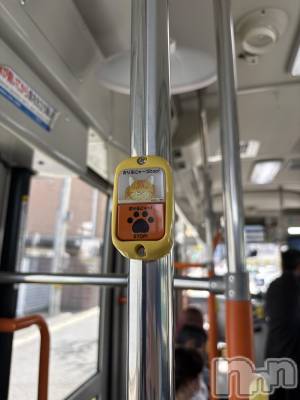 ����������ʥå��������륺�С�Girls Bar Philia(�����륺�С��ե��ꥢ) ������4��21���̥�֥����֤ͤ���