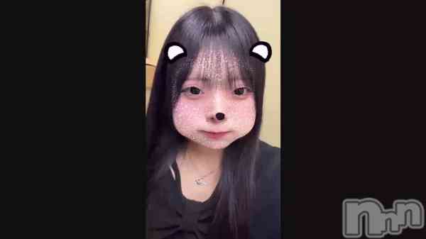 �֥ۥ磻�ȥǡ�‎🤍��