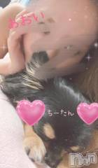 新潟デリヘルSecret Love(シークレットラブ) 【新人】あおい☆神級G乳美女(31)の9月15日写メブログ「愛してやまないシリーズ♡1」