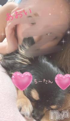 新潟デリヘル Secret Love(シークレットラブ) 【新人】あおい☆神級G乳美女(31)の9月15日写メブログ「愛してやまないシリーズ♡1」