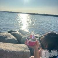 ����������ʥå��������륺�С� ���פ��� ��ä��礤(���ޥĥꥤ�������å��祤) �����β���(4����)