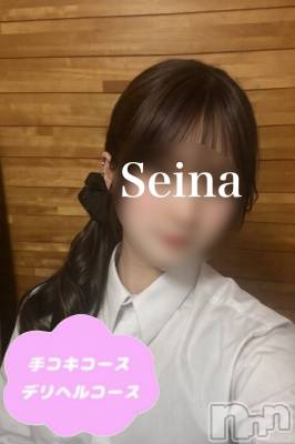 体験せいな(18) 身長163cm、スリーサイズB84(B).W57.H88。新潟デリヘル 新潟風俗Noel-ノエル-(ノエル)在籍。