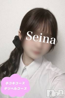 体験せいな(18) 身長163cm、スリーサイズB84(B).W57.H88。新潟デリヘル 新潟風俗Noel-ノエル-(ノエル)在籍。