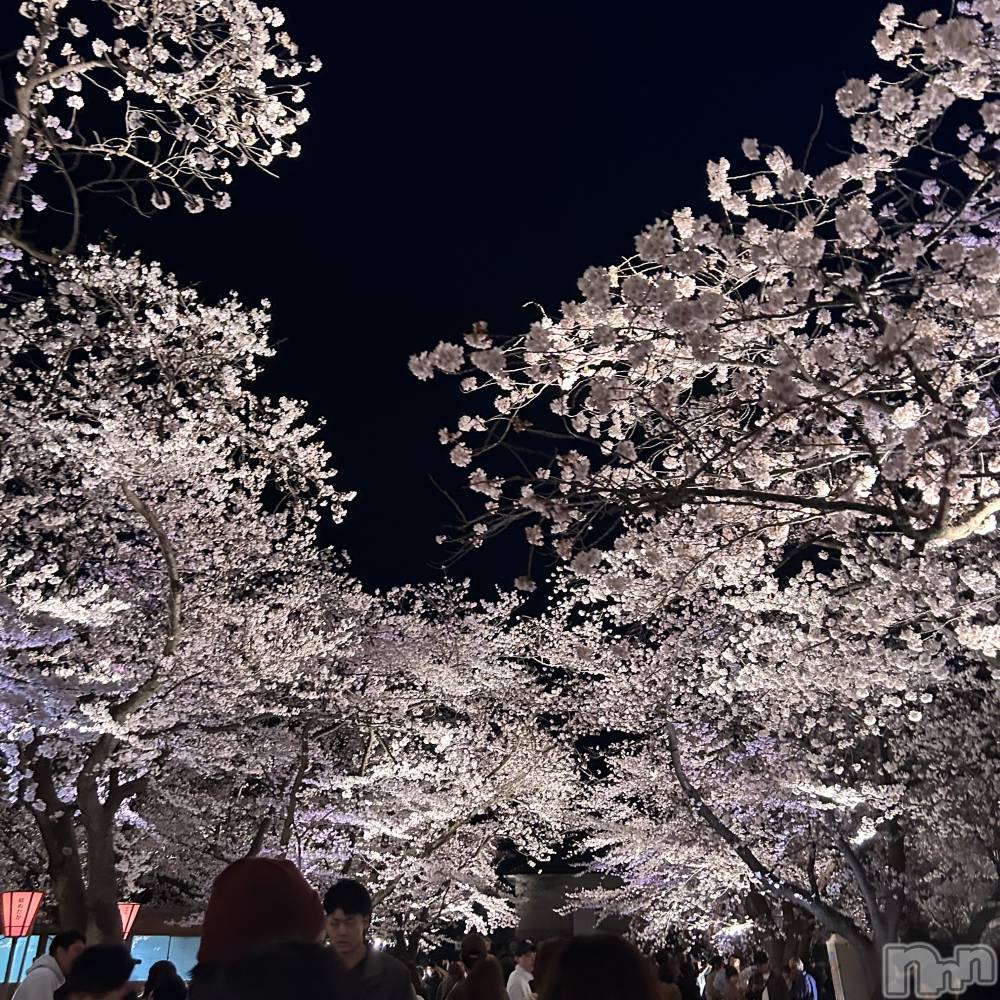 ����������ʥå��������륺�С����פ��� ��ä��礤(���ޥĥꥤ�������å��祤) �Ҥʤ�4��6���̥�֥����ֵ���🫧��