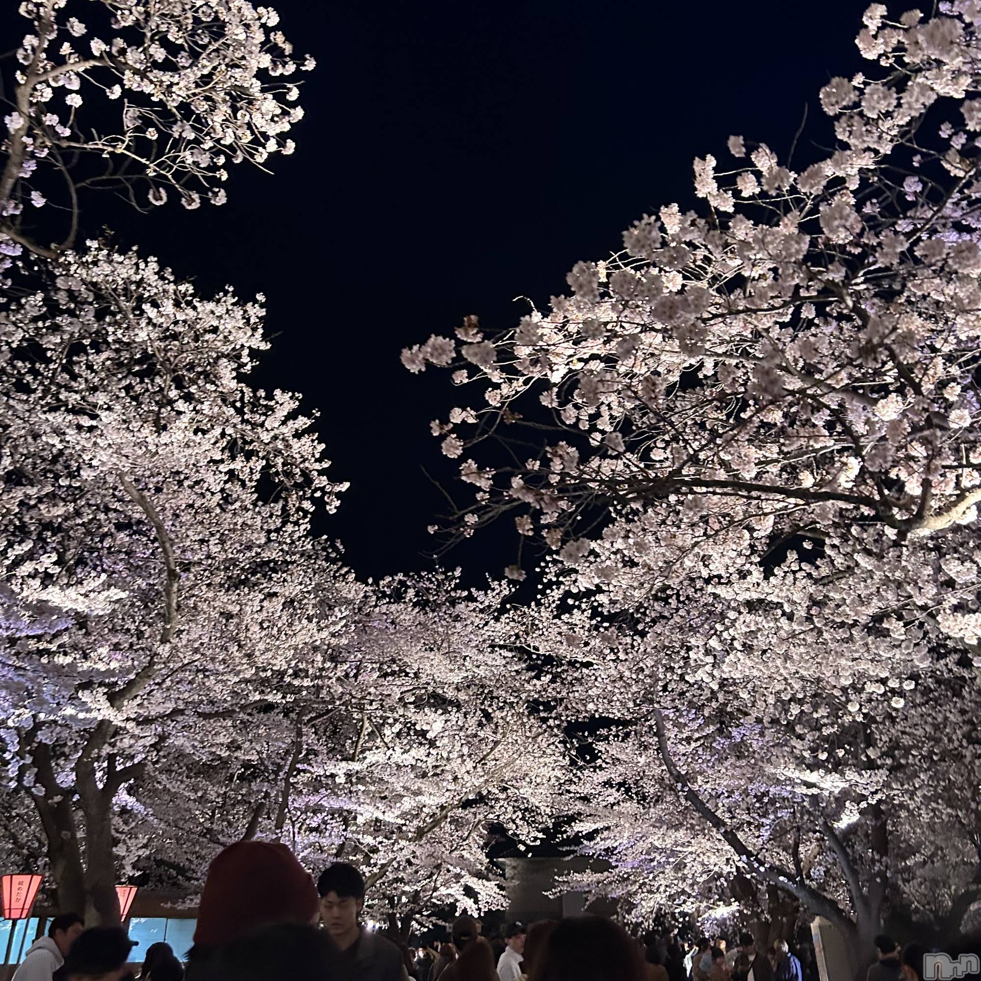 ����������ʥå��������륺�С����פ��� ��ä��礤(���ޥĥꥤ�������å��祤) ��2026ǯ4��6���̥�֥����ֵ���🫧��