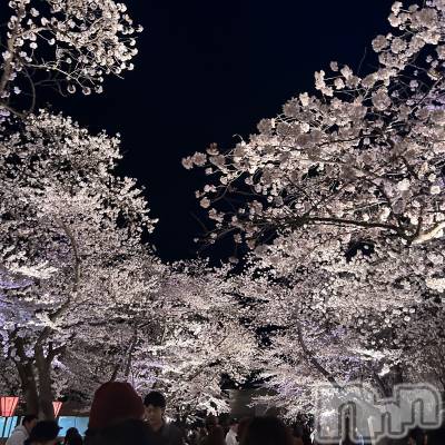 ����������ʥå��������륺�С����פꥹ�ʥå� ��ä��礤(���ޥĥꥹ�ʥå���å��祤) �Ҥ�(18)��4��6���̥�֥����ֵ���🫧��