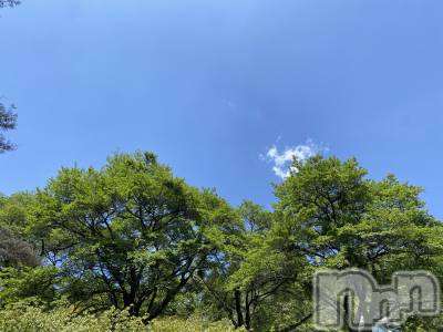 ���ܱ�������Х��顦����֥���� �ץ���� ����(����� �ץ���� �ޥĥ��) ���ʤ�5��2���̥�֥����ֿ��С�