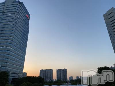 ���ܱ�������Х��顦����֥���� �ץ���� ����(����� �ץ���� �ޥĥ��) ���ʤ�5��22���̥�֥����������