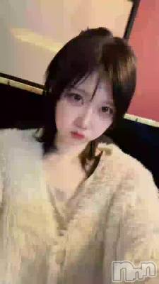 ���ϥߥ˥ܥ֤Ǥ�