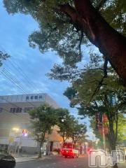新潟デリヘルアミューズメントデリバリーヘルス  ガロパ(アミューズメントデリバリーヘルスガロパ) はる(18)の8月19日写メブログ「変わったの❣️」