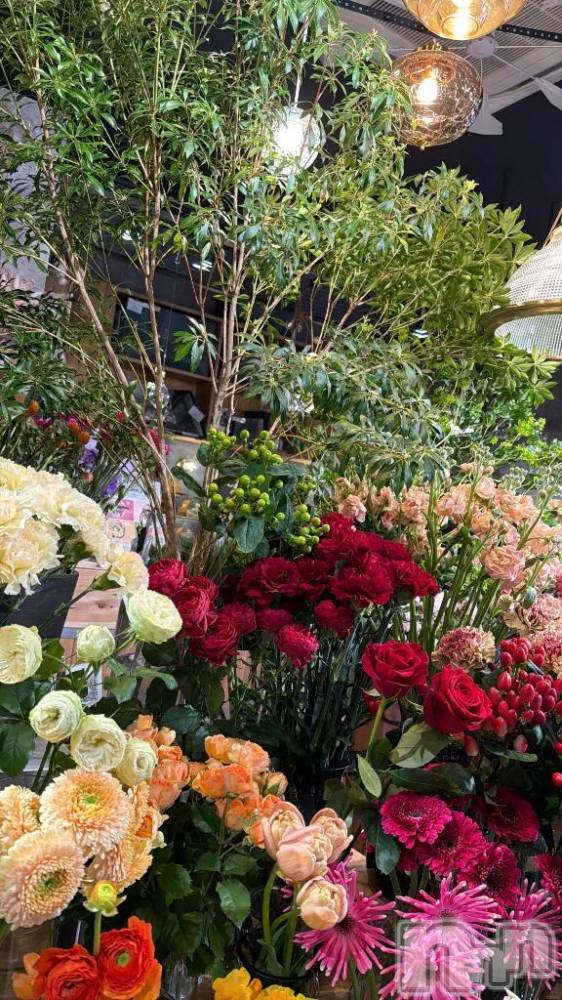 新潟デリヘル新潟市鳥屋野潟ちゃんこ(ニイガタシトヤノガタチャンコ) ひよ(20)の3月20日写メブログ「ナチュラルかも、？」