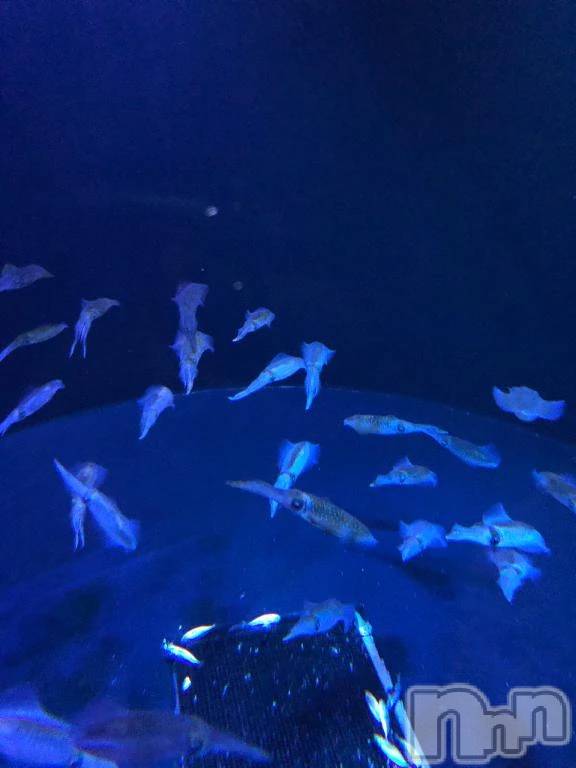 新潟デリヘル新潟市鳥屋野潟ちゃんこ(ニイガタシトヤノガタチャンコ)ひよ(20)の2026年3月18日写メブログ「初出勤でいっぱい可愛がってもらっちゃった…🥺💗」