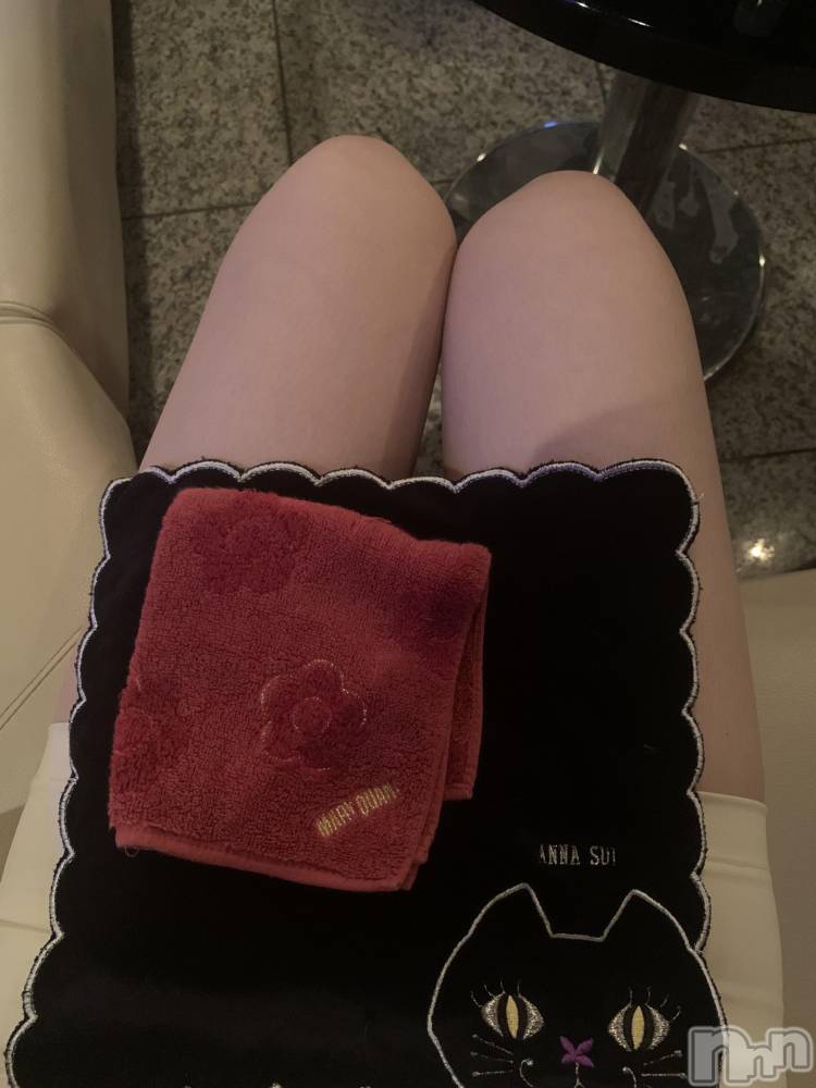 ���ܱ�������Х��顦����֥���� �ץ���� ����(����� �ץ���� �ޥĥ��) ��ʤ�3��29���̥�֥���������✨��